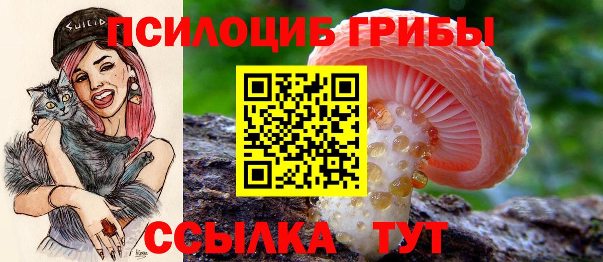 Галлюциногенные грибы ЛСД Невинномысск