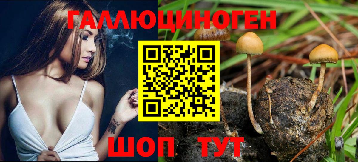 Невинномысск  Псилоцибиновые грибы ЛСД  Вход с VPN  Псилоцибиновые грибы Magic Shrooms 